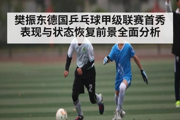 樊振东德国乒乓球甲级联赛首秀表现与状态恢复前景全面分析